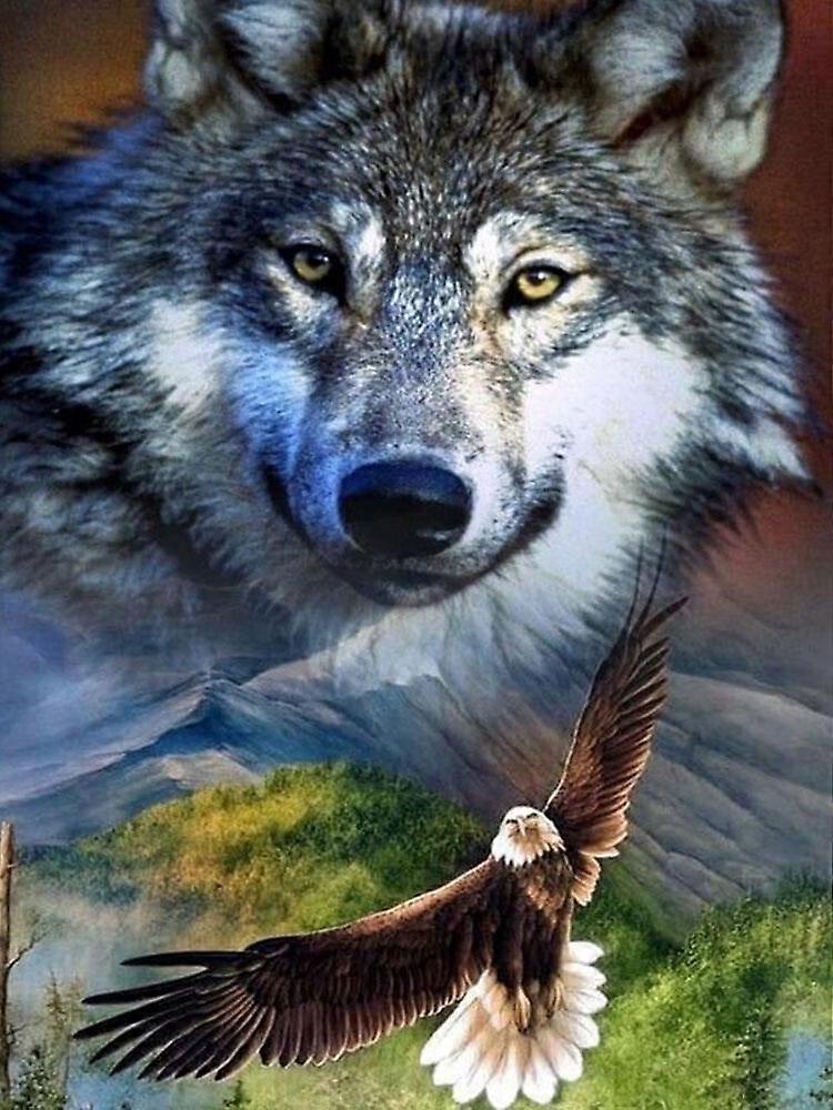 Dww-30 x 40 cm, Wolf and Eagle Diamond Painting Diamond Embroidery Painting5D Canvas Painting for Children and Adults, Rhinestone Puzzle Set, Drawing 