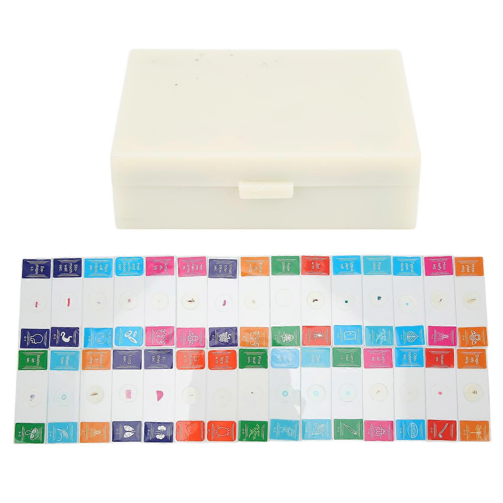 30Pcs Microscope Slides with Box Transparent Biology Prepared Slide Set for Laboratory