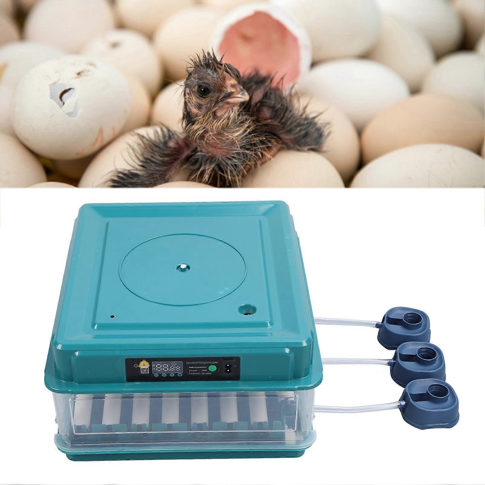 Egg Incubator Controller 38 Eggs 220V EU Plug Green 22cm High