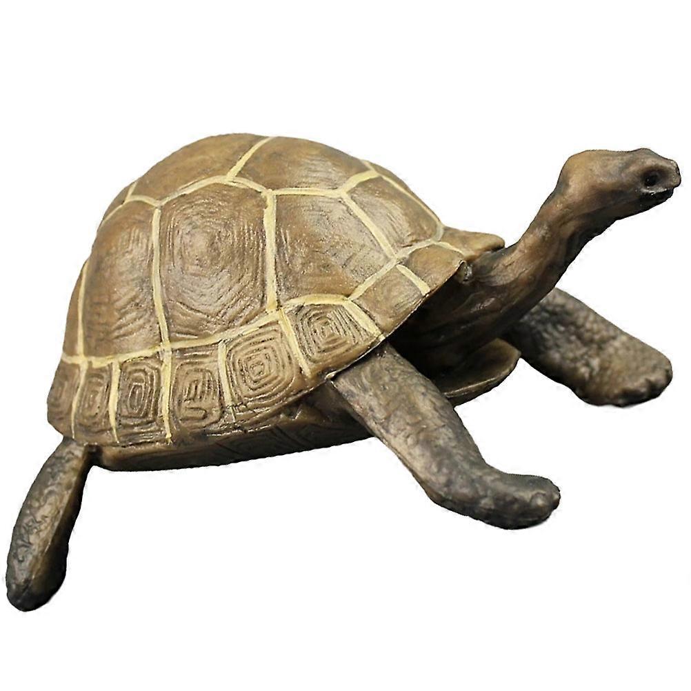 Lifelike Tortoise Model Plastic Turtle Toy for Educational Use 2Pcs Brown Figurines