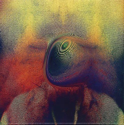 Young Magic - Melt  [VINYL]