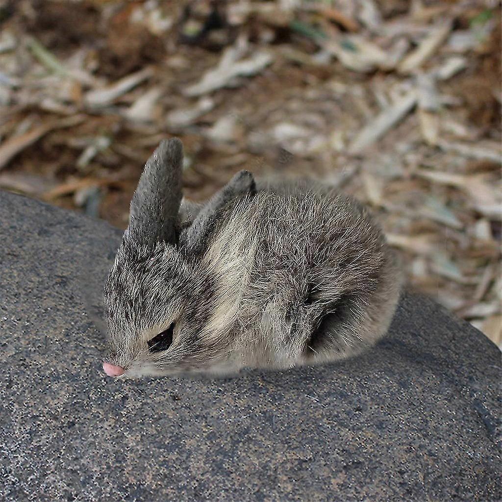 15Cm واقعية لطيف أفخم الأرانب نابض بالحياة محاكاة لعبة هدية عيد ميلاد