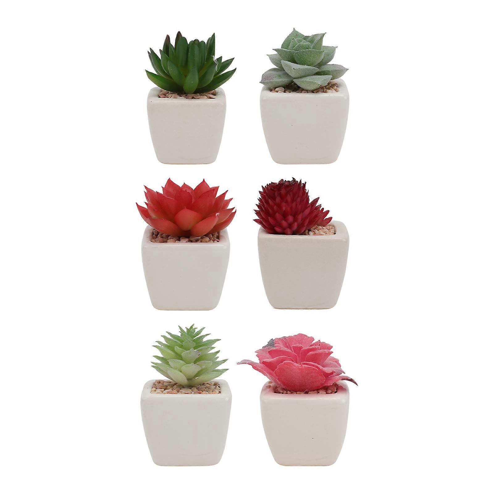 Fake Succulent Plant Simulation Plants for Indoor Decoration