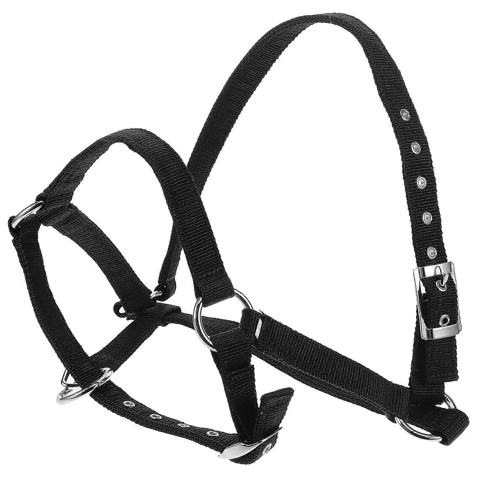 Durable 4Pcs Horse Halter And Rope Set For Equestrian Training Featuring Comfortable Padded Design And Breakaway Functionality
