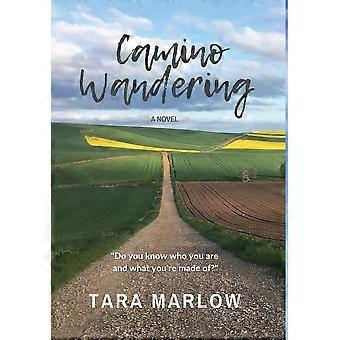 Camino wandering