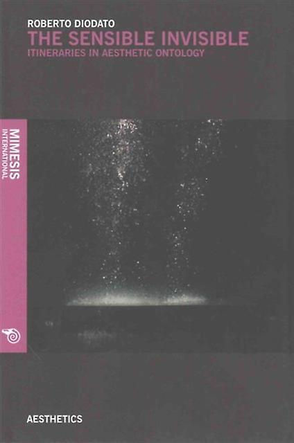 The Sensible Invisible by Roberto Diodato Paperback