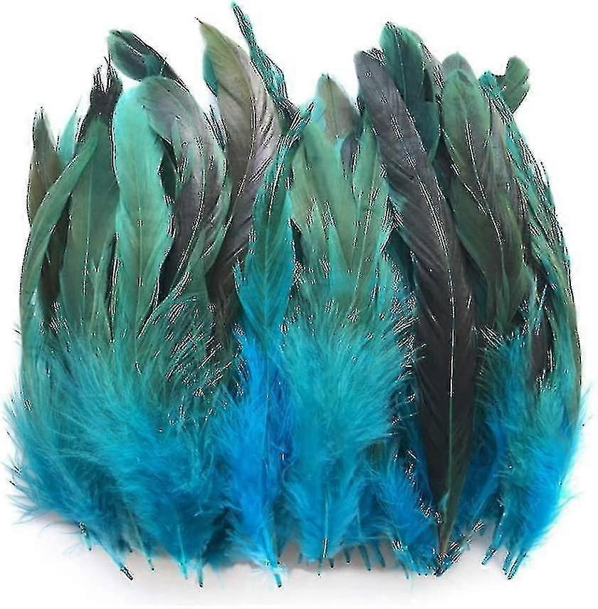 100pcs Feathers, Dyed Decoration, Feathers