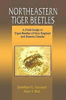 Nordöstliche Tigerkäfer