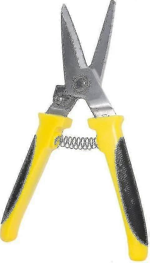 Scissors For Sheep, S, , Horses And S Length - Jxv