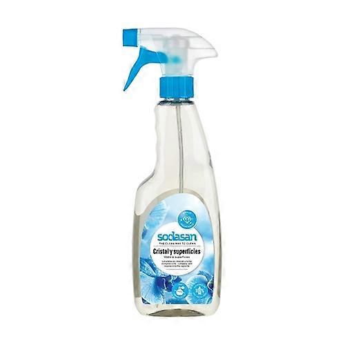 Glass cleaner 500 ml