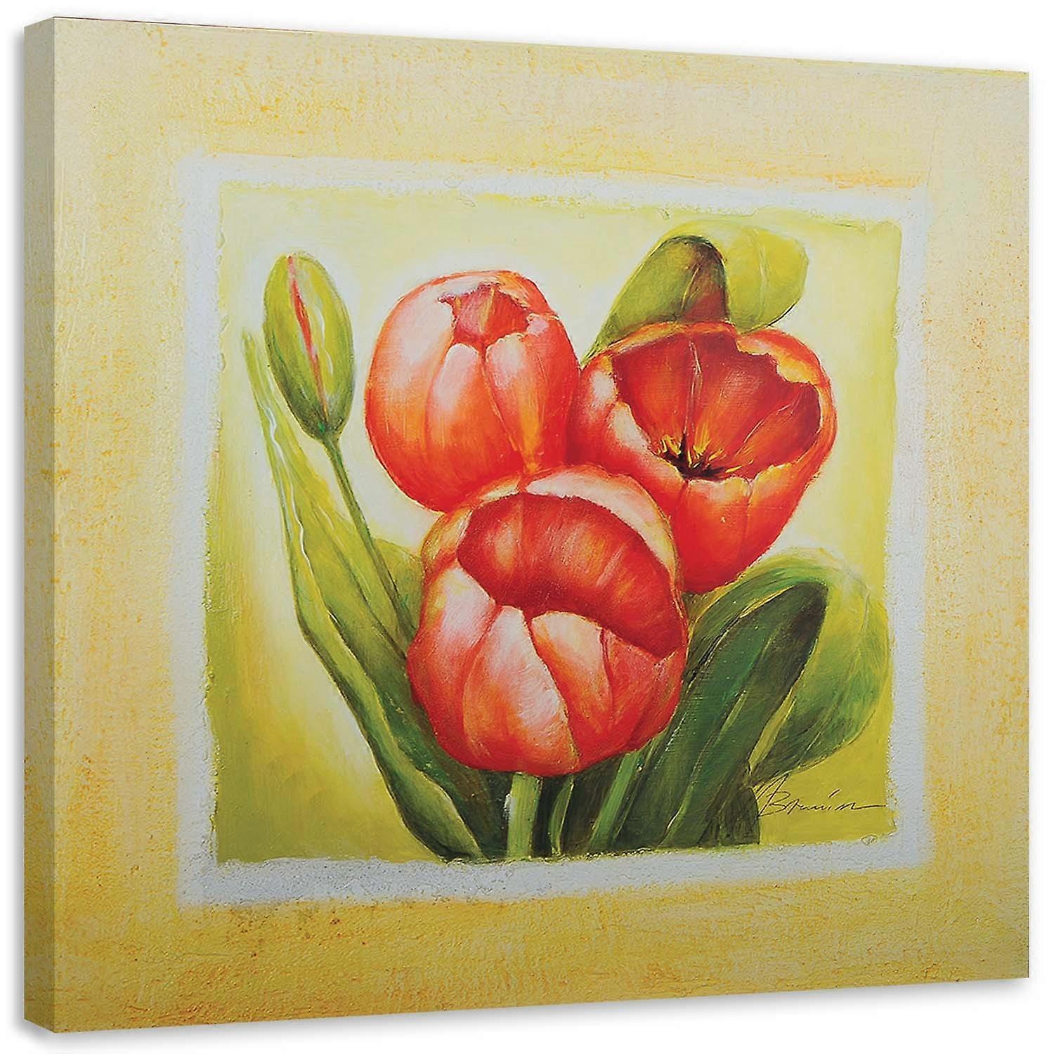 Fotobehang, Drie rode tulpen - 50x50