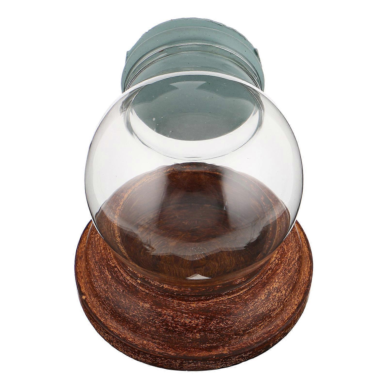 Snow Globe Kit with Base – Sturdy Materials for Creative Crafting, Personalization Fun for All Ages, Ideal for Home Decor and Family Activities