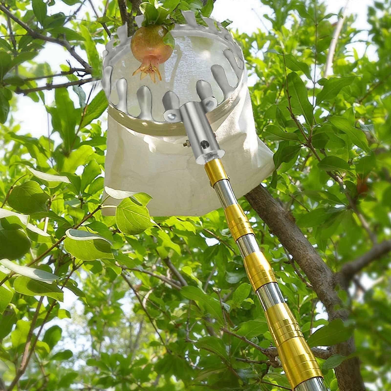 Fruit Picker with Telescopic Rod 27M Cherry Picker Plum Picker Fruit Picker for Fruit Picking from Higher Places (Color: B, Size: 6m/19.7ft)