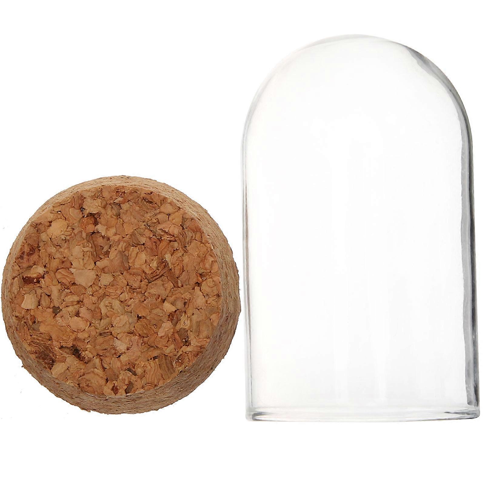 Model Display Box Glass Dome for Collectibles with 5Pcs Set