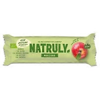 Raw organic apple bar 1 bar of 40g