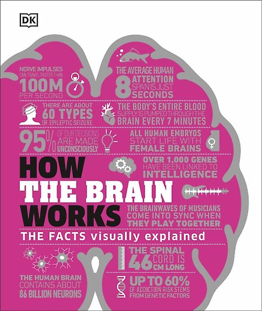 How The Brain Works by DK Paperback Book
