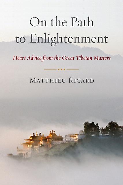 On The Path To Enlightenment by Matthieu Ricard Paperback