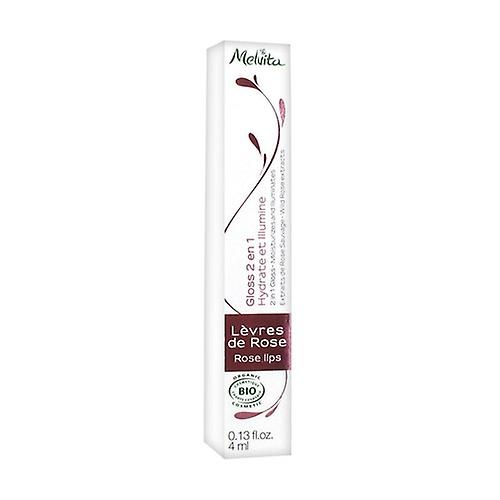Brilliant Pink Lips 4 ml