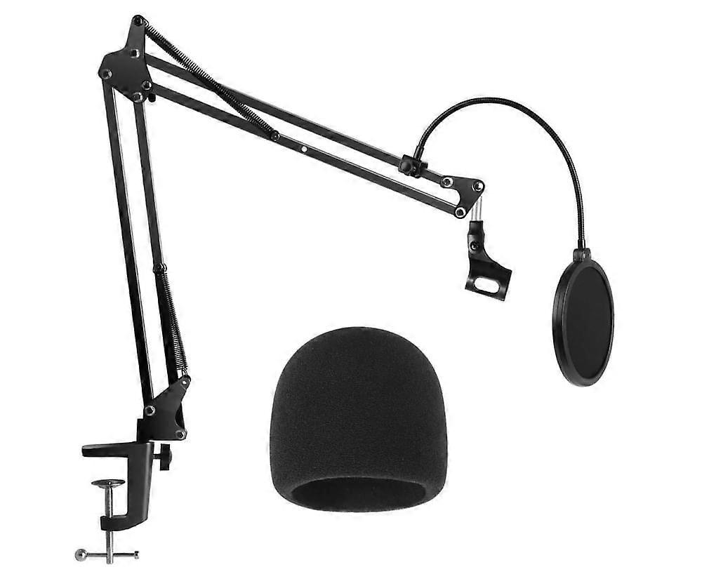 Heavy Duty Microphone Stand with Windscreen and Dual Layered Filter