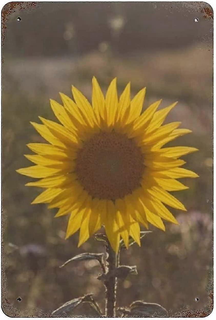 Placa de Metal Girassol Vintage Lata Poster Placa de Metal 8x12 Polegadas OU 12x16 Polegadas Modo 3901