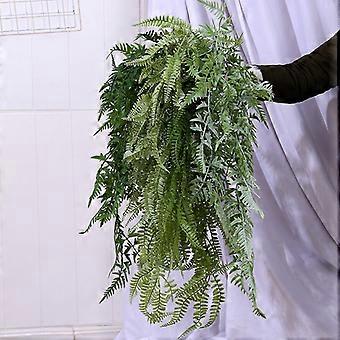 gummibaum 2m kaufen Gummibaum XL | Ficus elastica