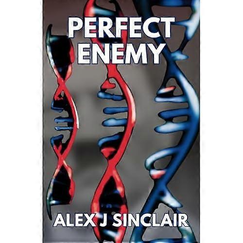 Perfect Enemy