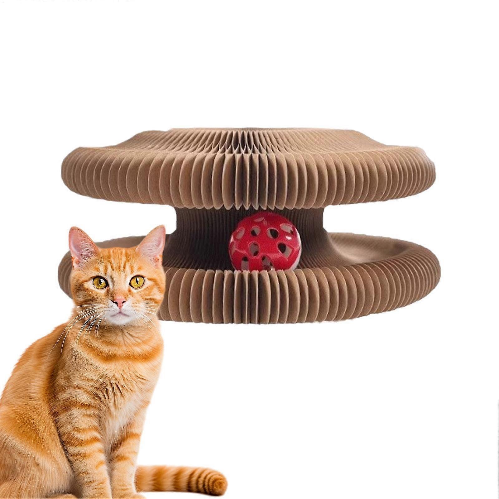 Cat, magical organ scratching board, cat toy with bell ball and stretch adventure