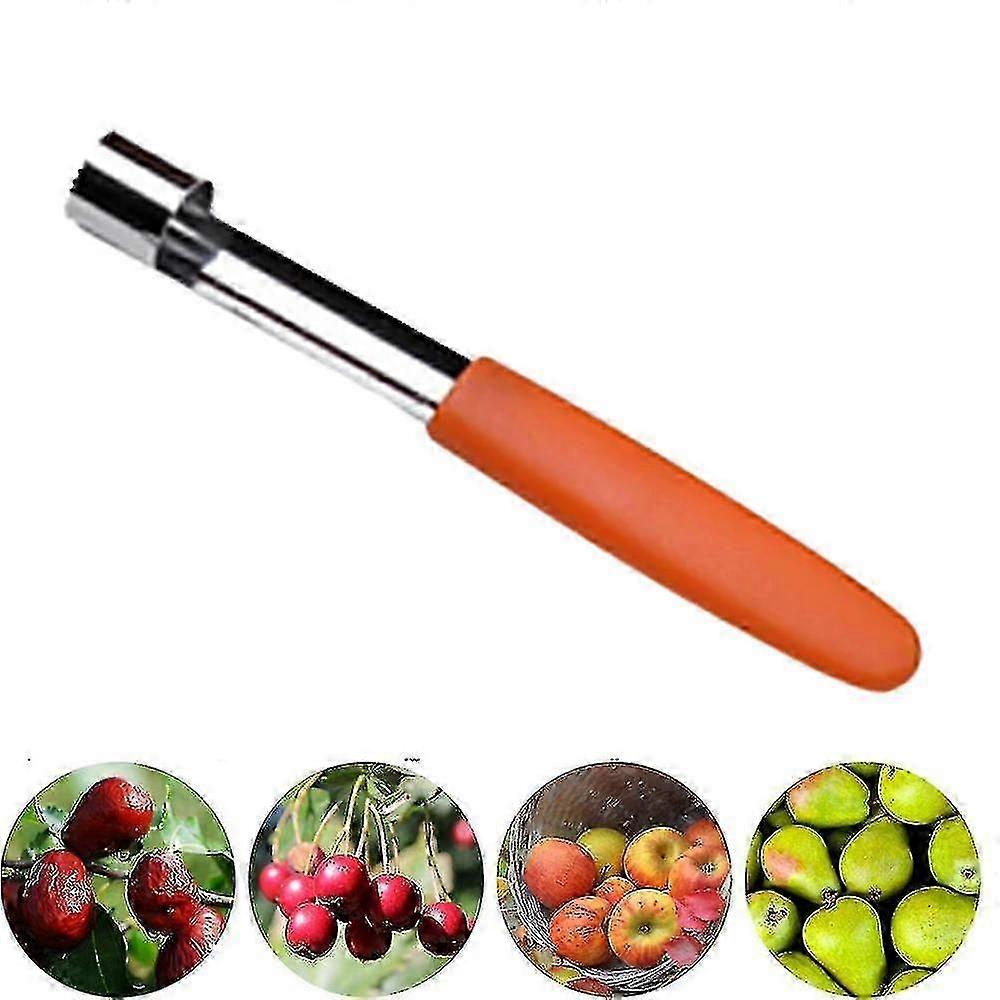 Apple Corer,premium Stainless Steel Remover/puller,hand-held Tool--