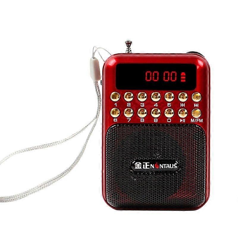 Portable Rechargeable FM Radio