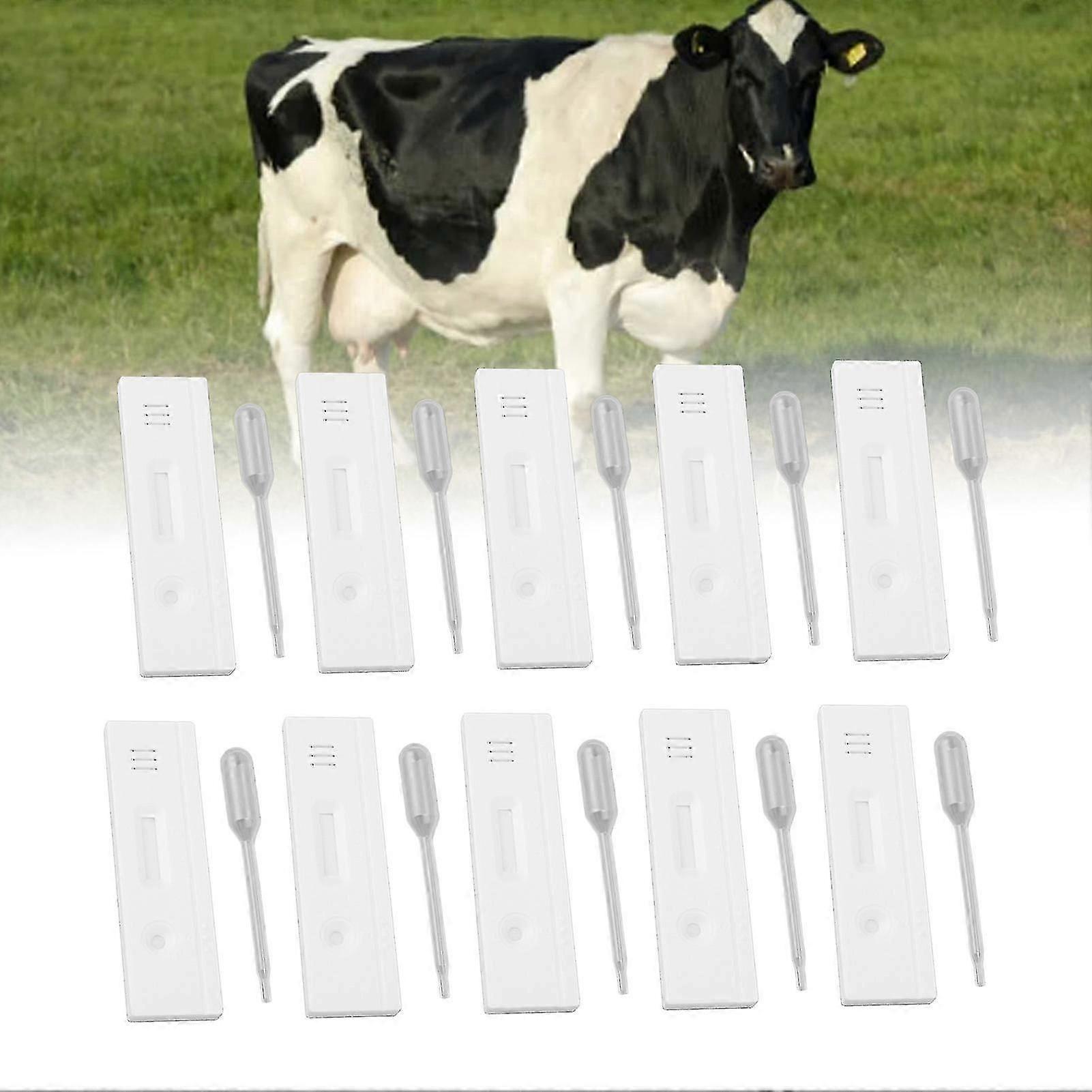 10 Set Cow Pregnancy Test Strips Early Detection High Accuracy 88g 25-26