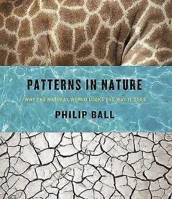 Patterns in Nature - Why the Natural World Looks the Way It Does