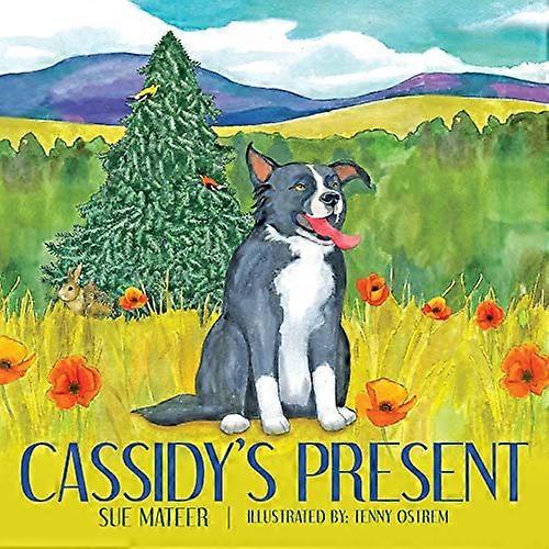 Cassidys nutid