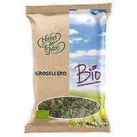 Black currant leaves Eco 40 g