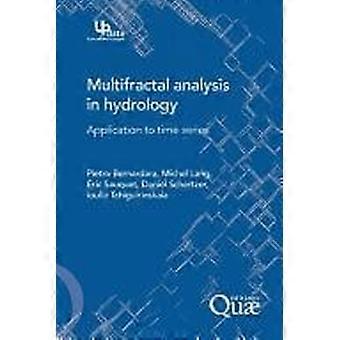 Multifractal analysis in hydrology application to time series