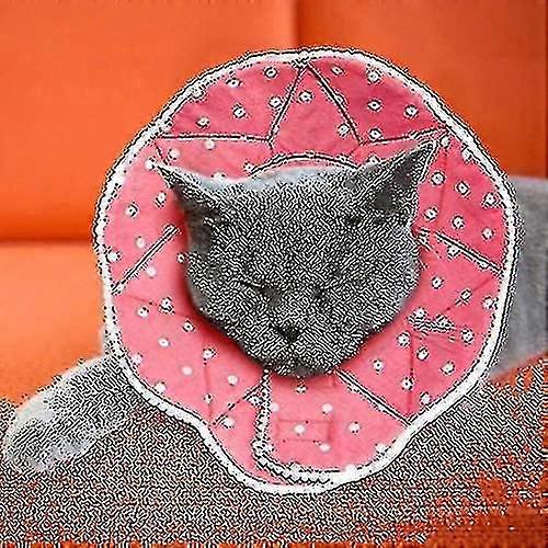 Comfortable Post-surgery Collar For Cats And Dogs, Robust -