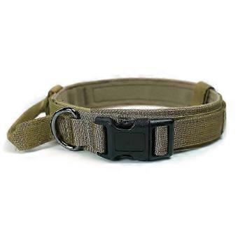 Airtag-Compatible Padded Dog Collar Durable