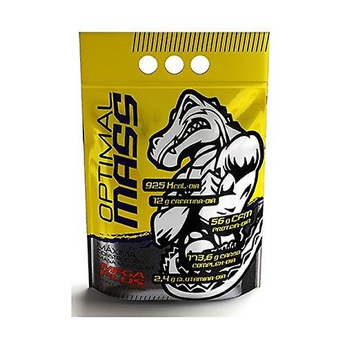 Optimal Mass Bag (Chocolate Flavor) 3 kg (Chocolate)