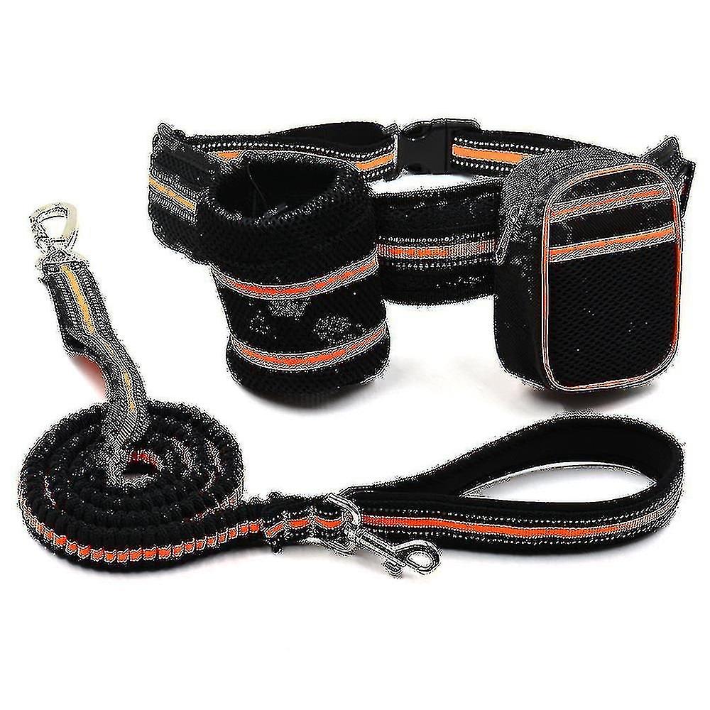 Reflective pet leash set