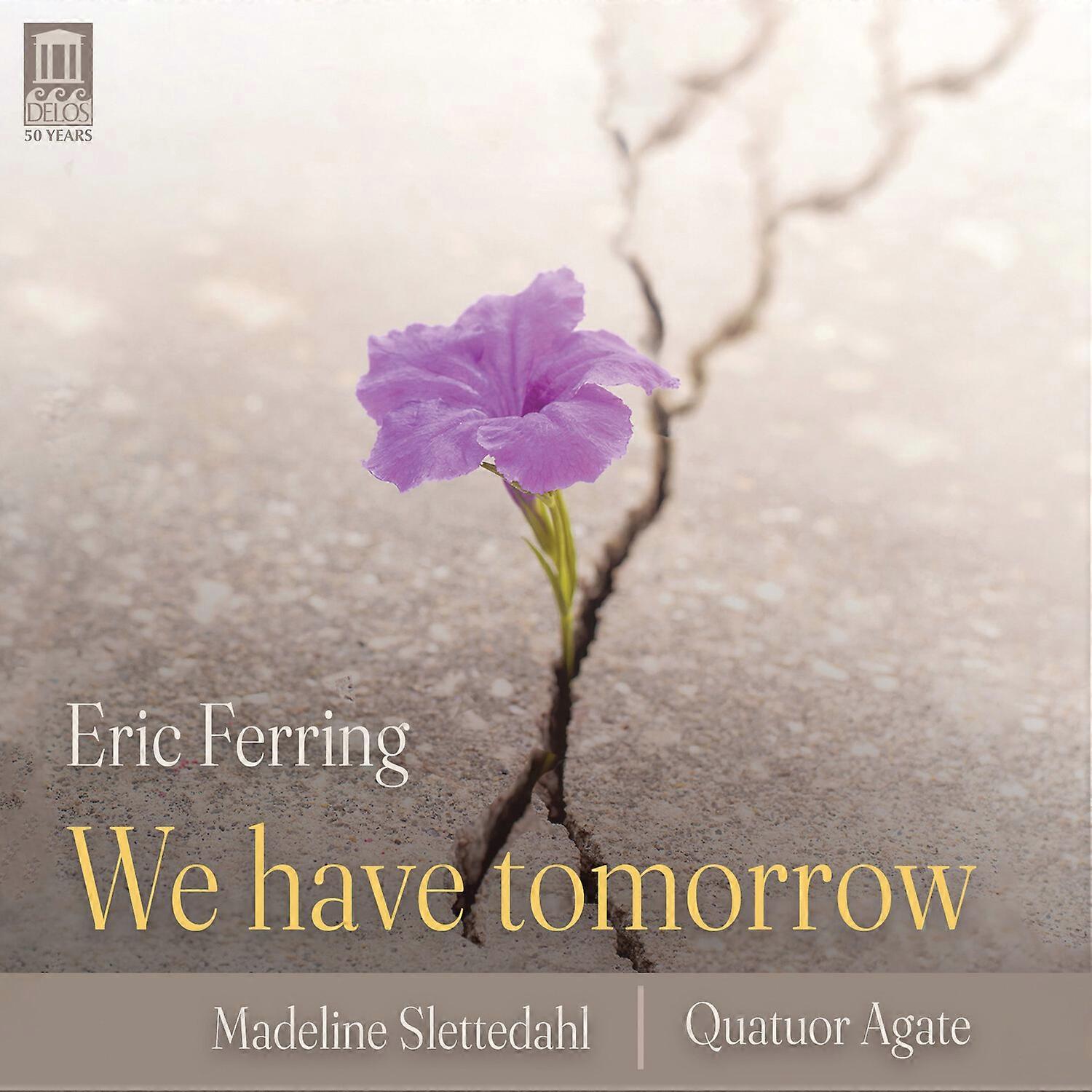 Eric Ferring - We Have Tomorrow  [COMPACT DISCS] USA import