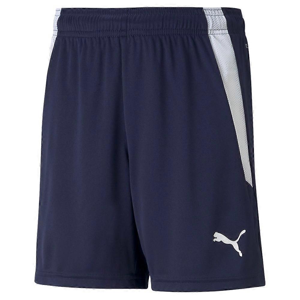 Trousers Puma Teamliga 70493106