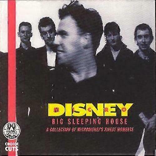 Microdisney Groot Slapend Huis CD (1995)