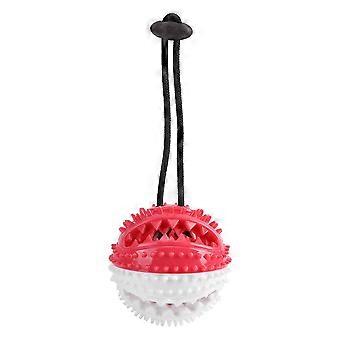 Dog 

Chew Silicone Food Leaking Squeaky Ball with Bell for Pet Interactive Training Toys