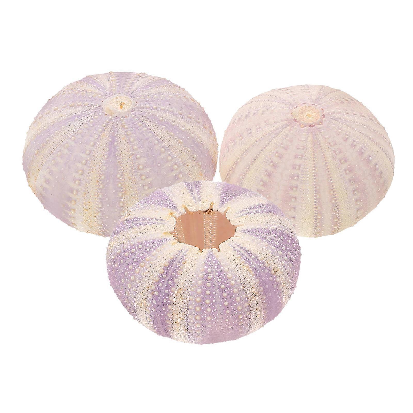 Creative Air Plant Containers with Synthetic Sea Urchin Shells for Decoration 3 Pcs Assorted Color