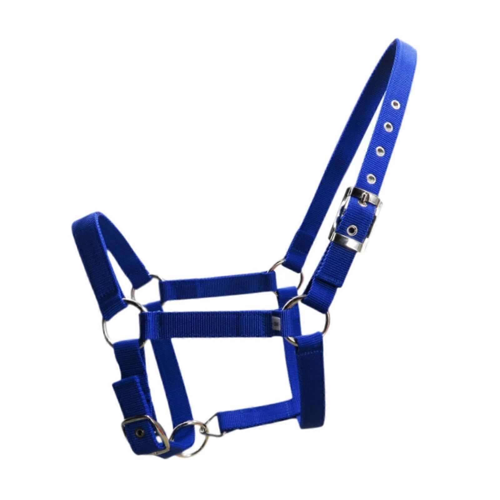 Adjustable Horse Halter Portable Headcollar for 90 cm-110 cm Horses, Blue Equestrian Accessory for Racecourse Events