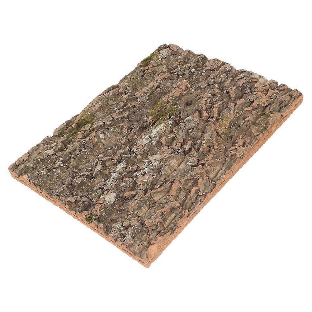 Cork Terrarium Background Reptile Bark Decor for 2Pcs Reptile Tank Setup