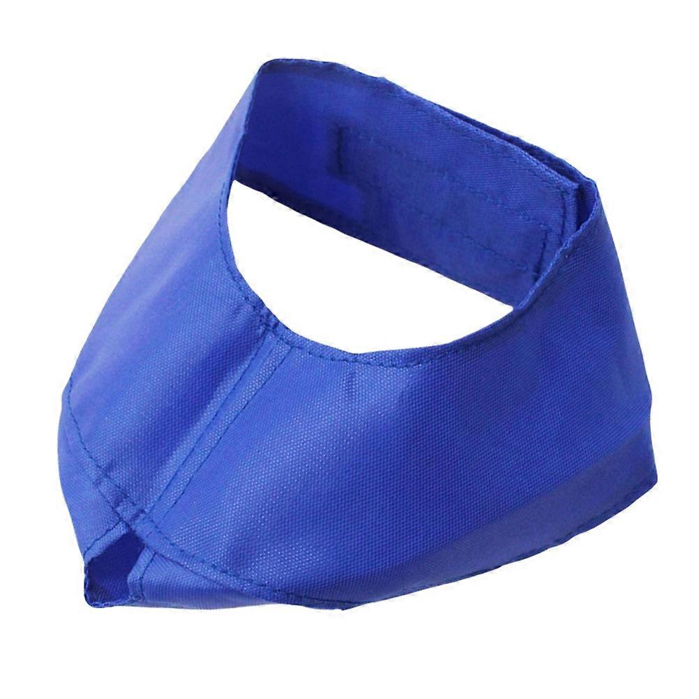 Pet Eye Patch Blue Durable Anti Bite Blindfold for Cats 2Pcs Comfort