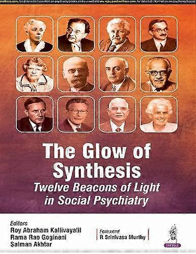 The Glow Of Synthesis by Salman Akhtar Paperback