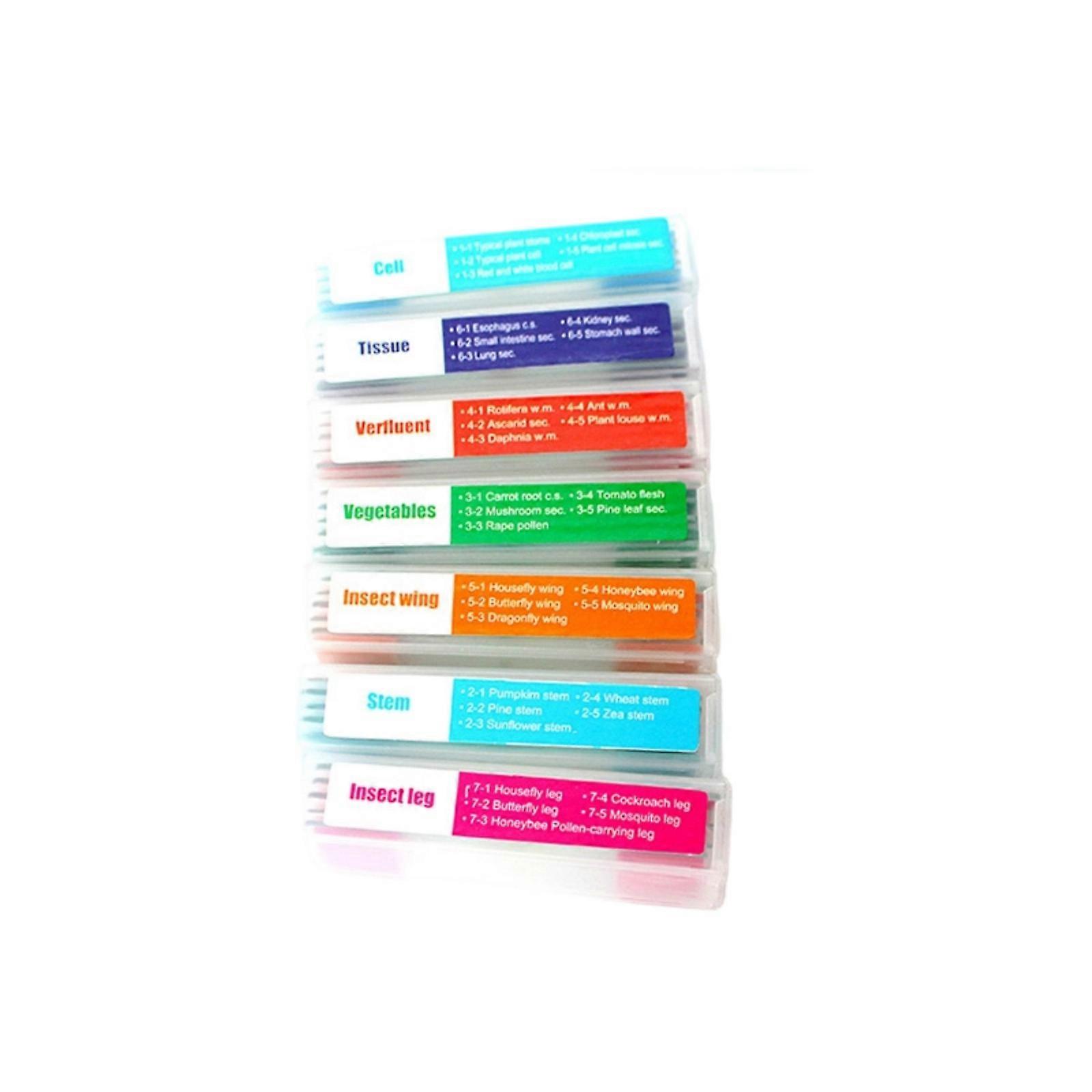 Strong Glass Biological Slides 35pcs Seven Categorized Specimens Suitable for Educational Institutions & Lab Analysis Multicolor