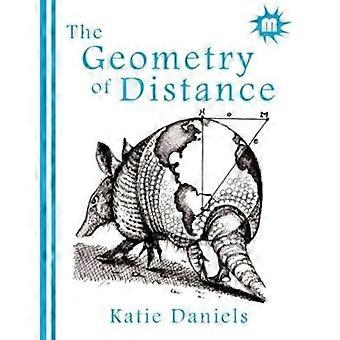 Etäisyys geometria
