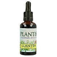 Plantain Extract 50 ml